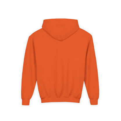 Crazy Cat Youth Heavy Blend Hooded Sweatshirt - Psychonaut Swag