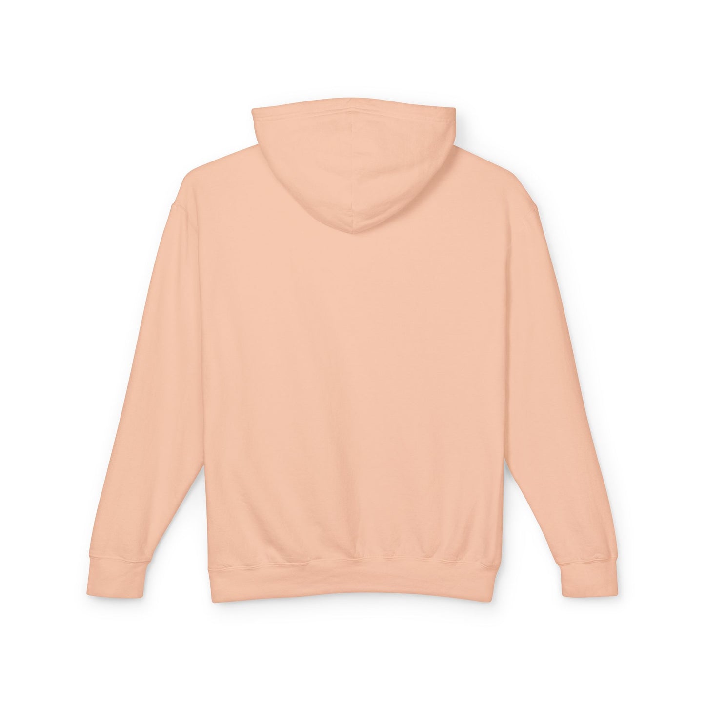 Color Your Life Hoodie — Pastel Rainbow Graphic Hooded Sweatshirt